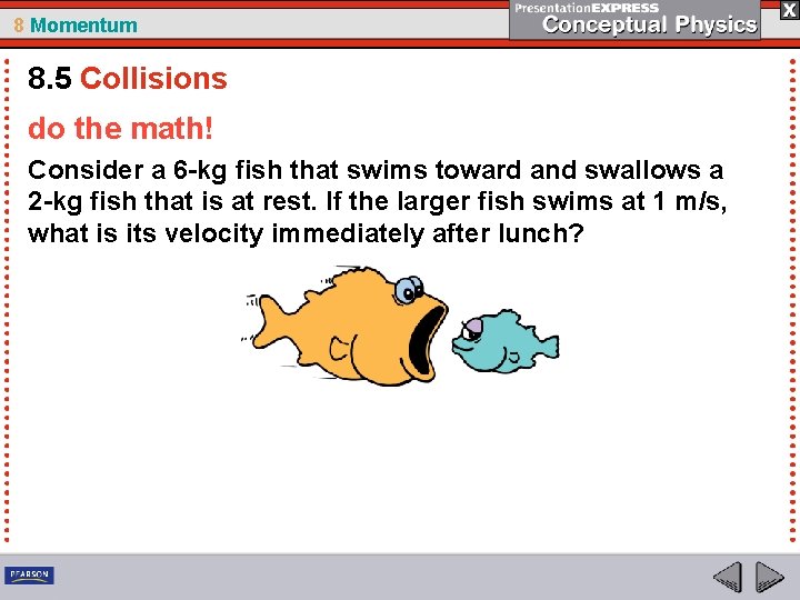 8 Momentum 8. 5 Collisions do the math! Consider a 6 -kg fish that