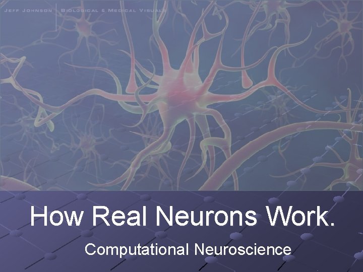 How Real Neurons Work. Computational Neuroscience 