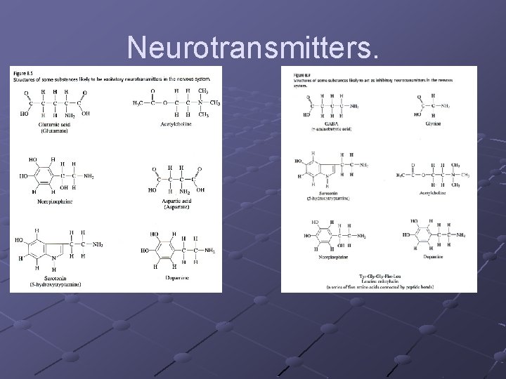 Neurotransmitters. 