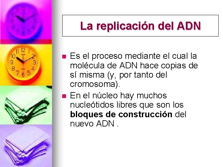 La replicación del ADN n n Es el proceso mediante el cual la molécula