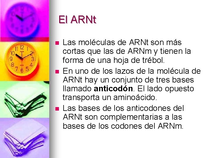 El ARNt n n n Las moléculas de ARNt son más cortas que las