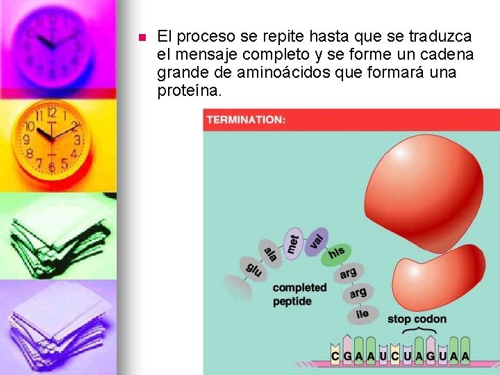 n El proceso se repite hasta que se traduzca el mensaje completo y se