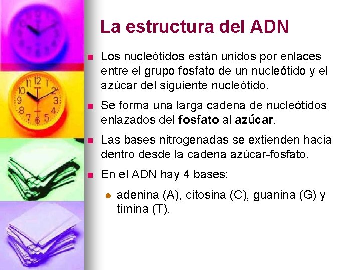 La estructura del ADN n Los nucleótidos están unidos por enlaces entre el grupo