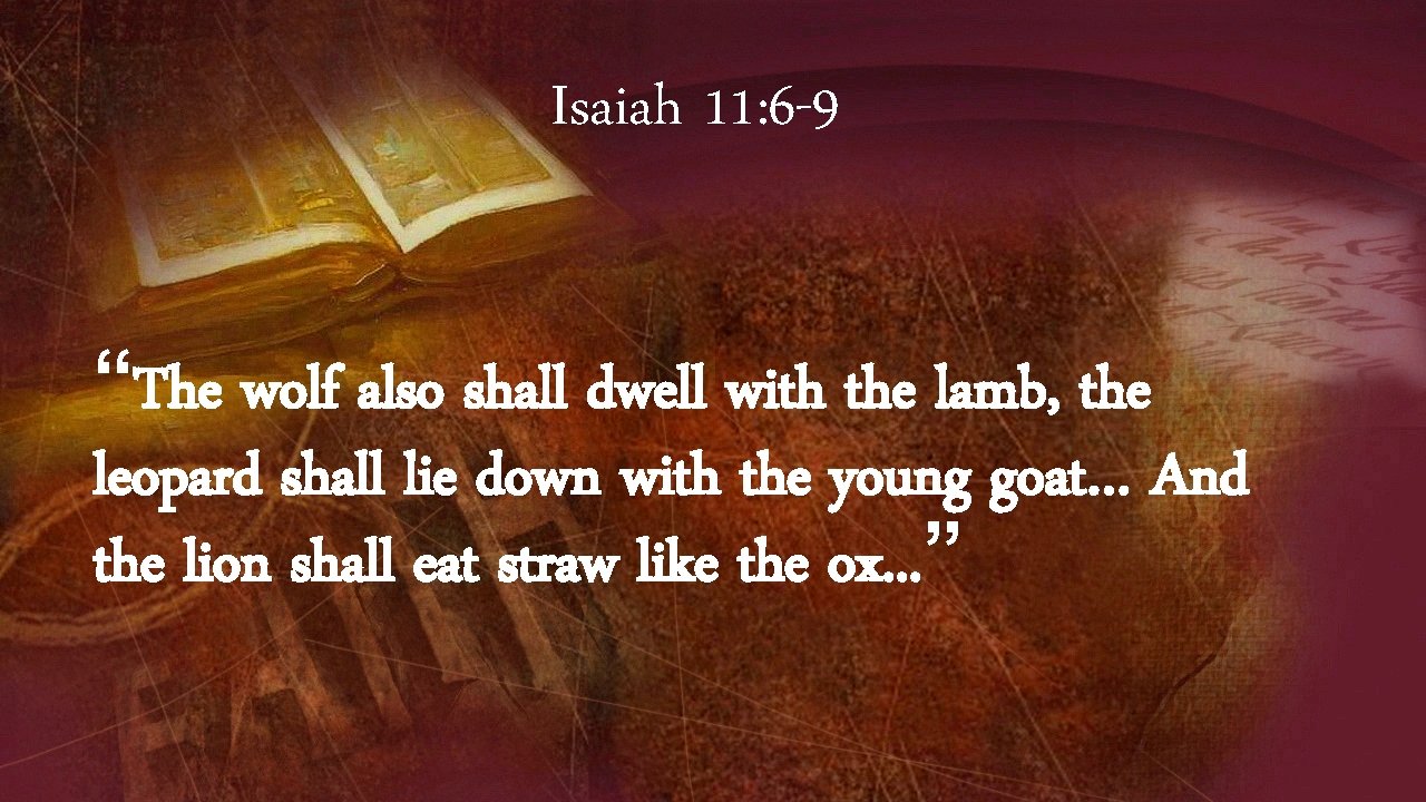 Isaiah 11: 6 -9 “The wolf also shall dwell with the lamb, the leopard