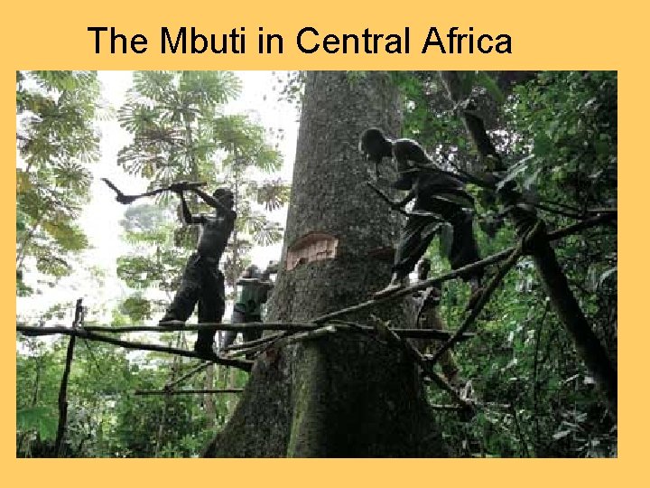 The Mbuti in Central Africa 