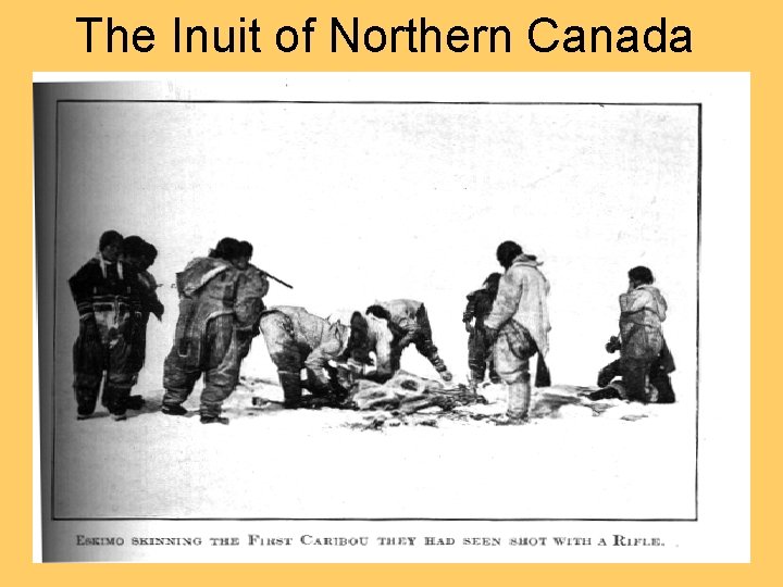 The Inuit of Northern Canada 