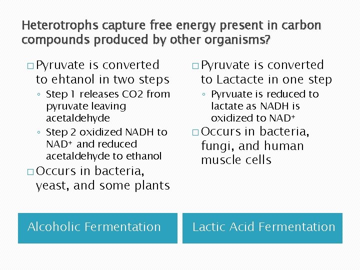 Heterotrophs capture free energy present in carbon compounds produced by other organisms? � Pyruvate