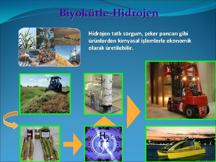 Biyokütle-Hidrojen tatlı sorgum, şeker pancarı gibi ürünlerden kimyasal işlemlerle ekonomik olarak üretilebilir. H 2