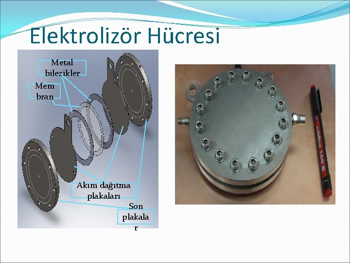 Elektrolizör Hücresi Metal bilezikler Mem bran Akım dağıtma plakaları Son plakala r 