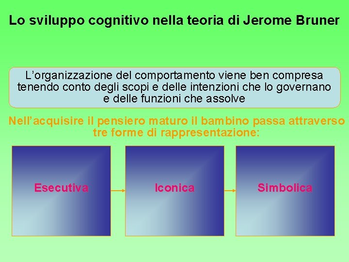 Lo sviluppo cognitivo nella teoria di Jerome Bruner L’organizzazione del comportamento viene ben compresa