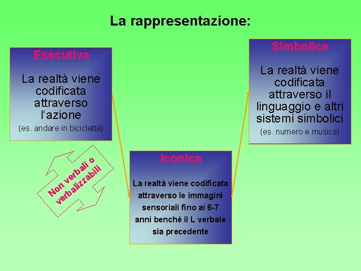 La rappresentazione: Simbolica Esecutiva La realtà viene codificata attraverso il linguaggio e altri sistemi