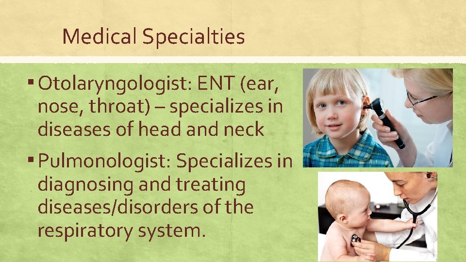 Medical Specialties ▪ Otolaryngologist: ENT (ear, nose, throat) – specializes in diseases of head