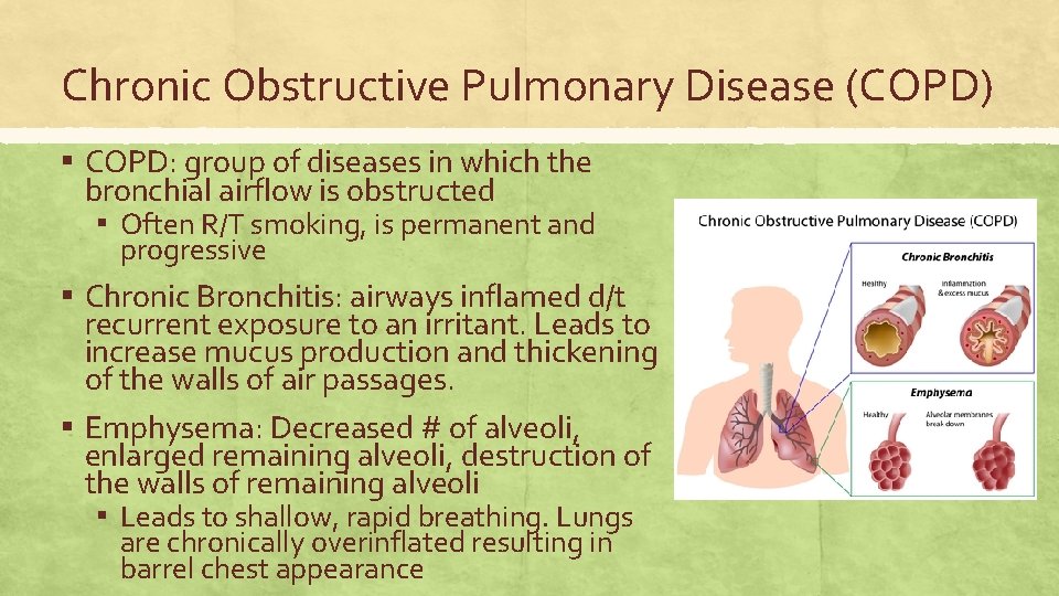 Chronic Obstructive Pulmonary Disease (COPD) ▪ COPD: group of diseases in which the bronchial