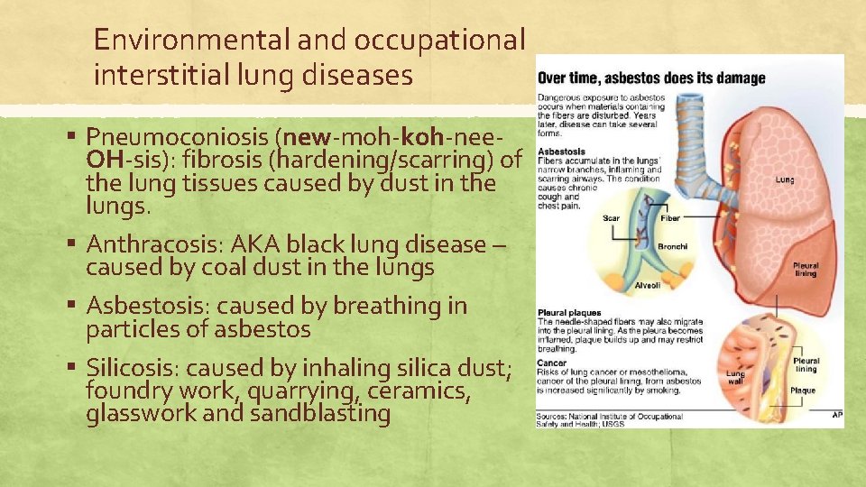 Environmental and occupational interstitial lung diseases ▪ Pneumoconiosis (new-moh-koh-nee- OH-sis): fibrosis (hardening/scarring) of the