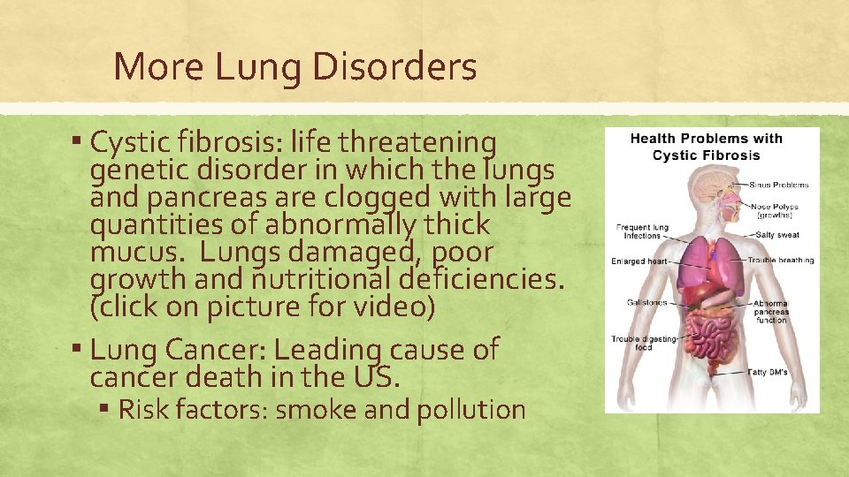 More Lung Disorders ▪ Cystic fibrosis: life threatening genetic disorder in which the lungs