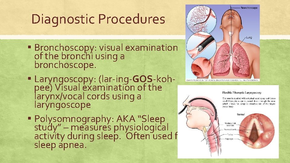 Diagnostic Procedures ▪ Bronchoscopy: visual examination of the bronchi using a bronchoscope. ▪ Laryngoscopy: