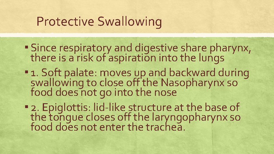 Protective Swallowing ▪ Since respiratory and digestive share pharynx, there is a risk of