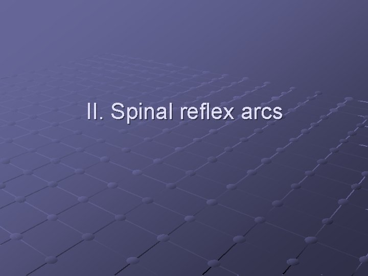 II. Spinal reflex arcs 