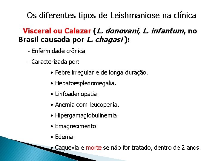 Os diferentes tipos de Leishmaniose na clínica • Visceral ou Calazar (L. donovani, L. Os diferentes tipos de Leishmaniose na clínica • Visceral ou Calazar (L. donovani, L.