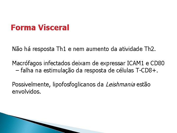 Forma Visceral Não há resposta Th 1 e nem aumento da atividade Th 2. Forma Visceral Não há resposta Th 1 e nem aumento da atividade Th 2.