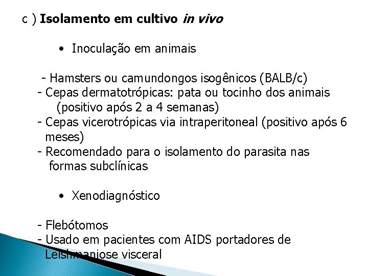 c ) Isolamento em cultivo in vivo • Inoculação em animais - Hamsters ou c ) Isolamento em cultivo in vivo • Inoculação em animais - Hamsters ou