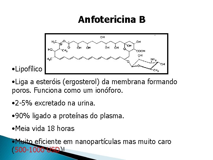 Anfotericina B • Lipofílico • Liga a esteróis (ergosterol) da membrana formando poros. Funciona Anfotericina B • Lipofílico • Liga a esteróis (ergosterol) da membrana formando poros. Funciona