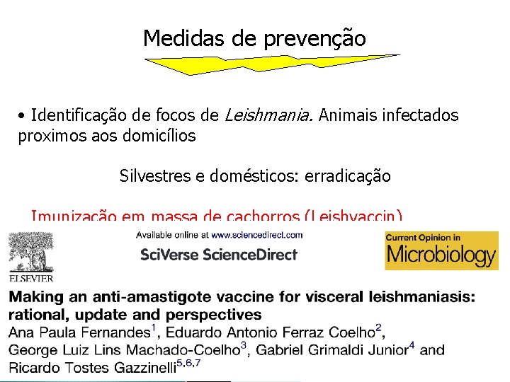 Medidas de prevenção • Identificação de focos de Leishmania. Animais infectados proximos aos domicílios Medidas de prevenção • Identificação de focos de Leishmania. Animais infectados proximos aos domicílios