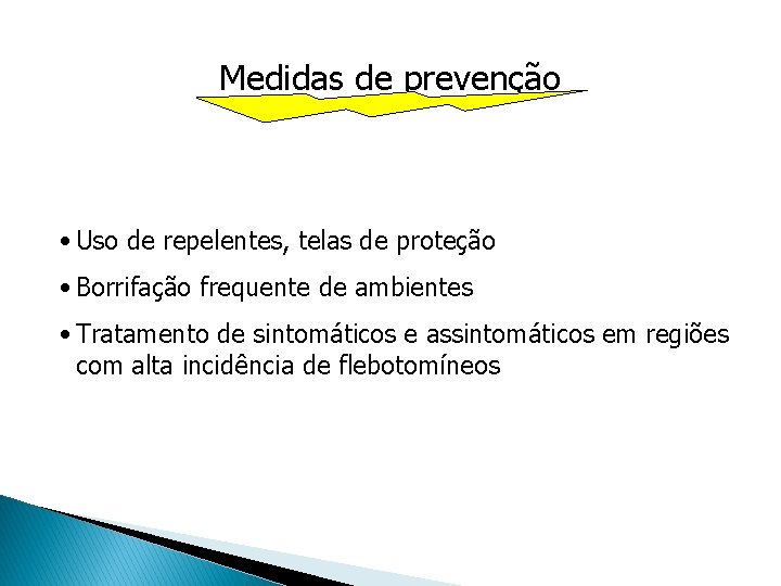 Medidas de prevenção • Uso de repelentes, telas de proteção • Borrifação frequente de Medidas de prevenção • Uso de repelentes, telas de proteção • Borrifação frequente de