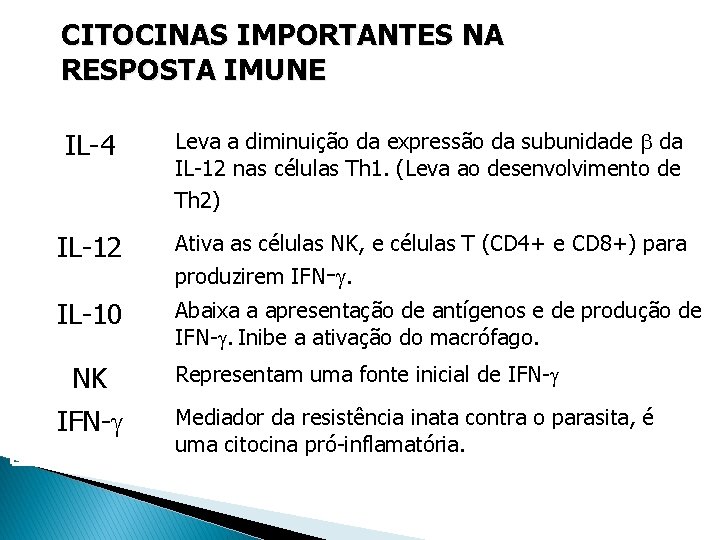 CITOCINAS IMPORTANTES NA RESPOSTA IMUNE IL-4 Leva a diminuição da expressão da subunidade da CITOCINAS IMPORTANTES NA RESPOSTA IMUNE IL-4 Leva a diminuição da expressão da subunidade da