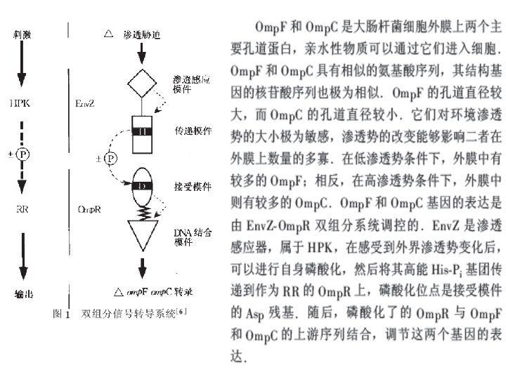 Figure 1. Example of a basic two-component system. The E. coli osmolarity-response system consists Figure 1. Example of a basic two-component system. The E. coli osmolarity-response system consists