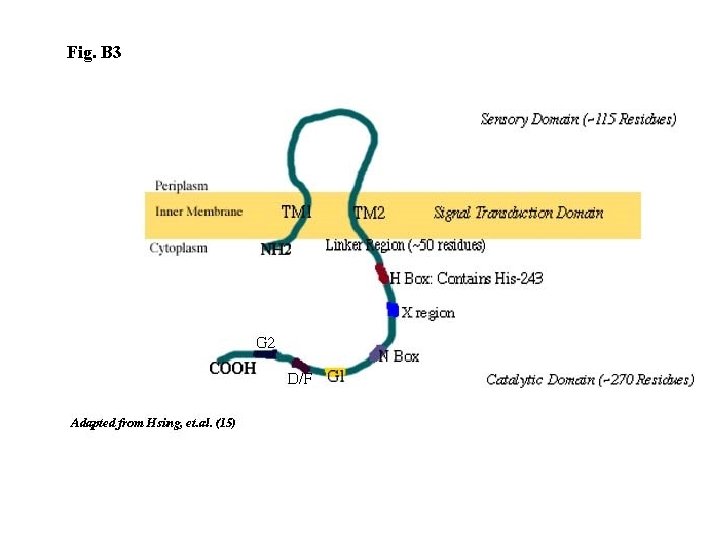 Fig. B 3 