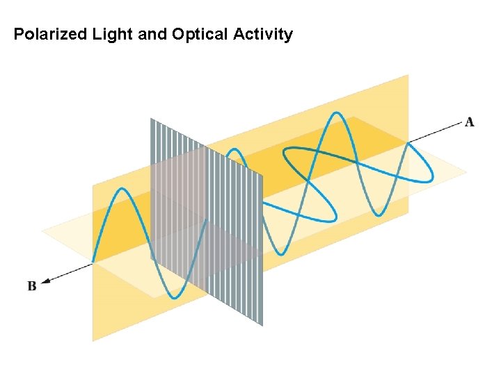Polarized Light and Optical Activity 