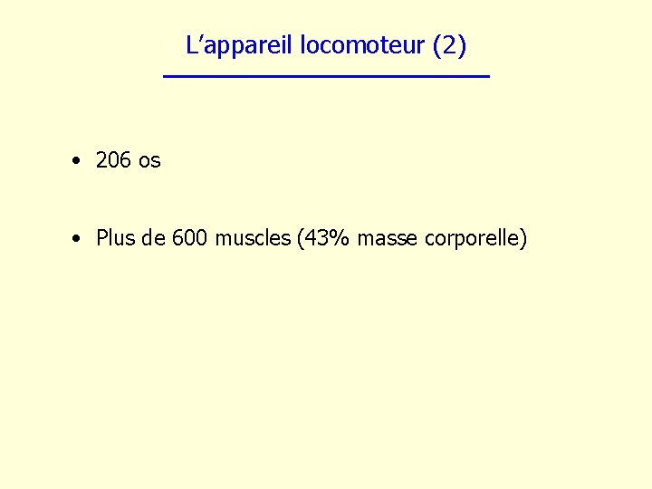 L’appareil locomoteur (2) • 206 os • Plus de 600 muscles (43% masse corporelle)