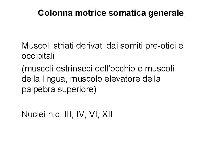 Colonna motrice somatica generale Muscoli striati derivati dai somiti pre-otici e occipitali (muscoli estrinseci
