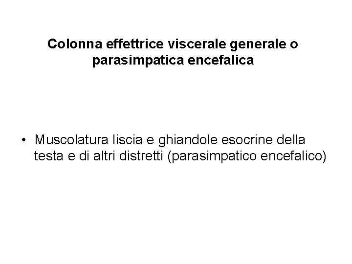 Colonna effettrice viscerale generale o parasimpatica encefalica • Muscolatura liscia e ghiandole esocrine della