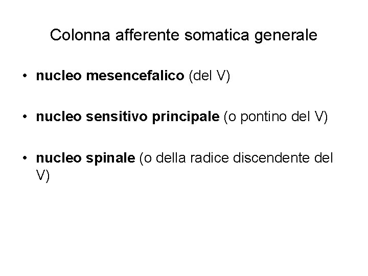 Colonna afferente somatica generale • nucleo mesencefalico (del V) • nucleo sensitivo principale (o