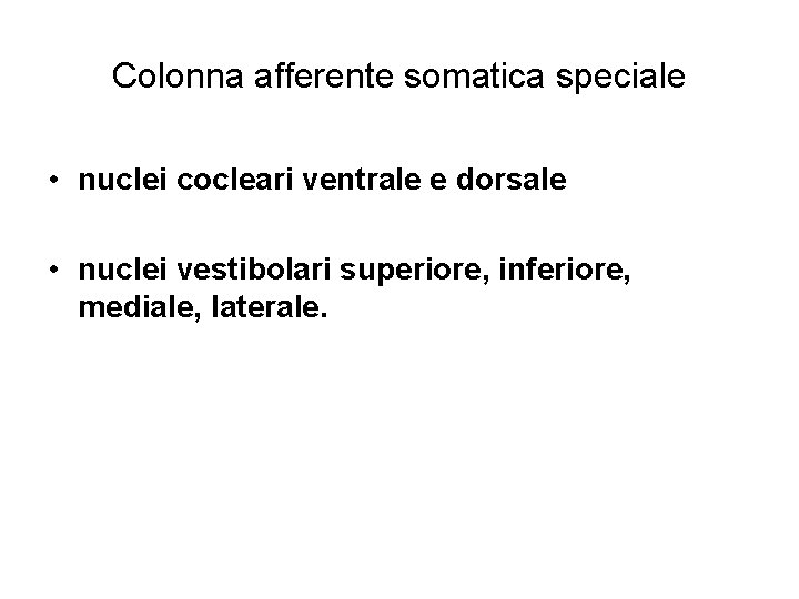 Colonna afferente somatica speciale • nuclei cocleari ventrale e dorsale • nuclei vestibolari superiore,