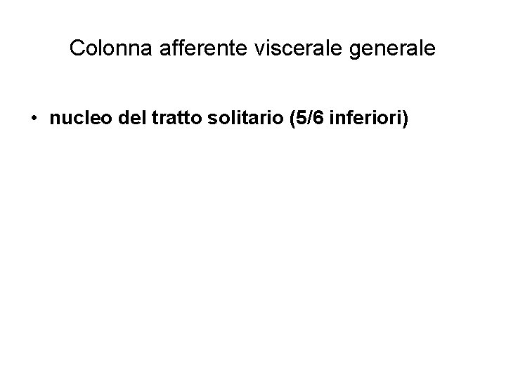 Colonna afferente viscerale generale • nucleo del tratto solitario (5/6 inferiori) 