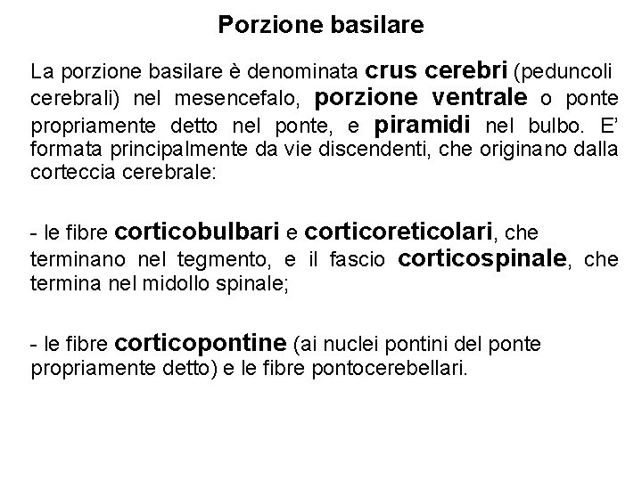 Porzione basilare La porzione basilare è denominata crus cerebri (peduncoli cerebrali) nel mesencefalo, porzione