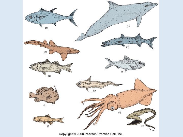 Figure 12. 4 Figure 12. 4