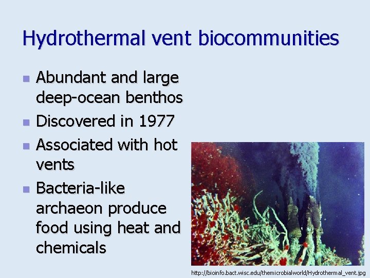 Hydrothermal vent biocommunities n n Abundant and large deep-ocean benthos Discovered in 1977 Associated