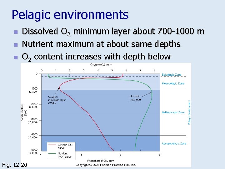 Pelagic environments n n n Dissolved O 2 minimum layer about 700 -1000 m