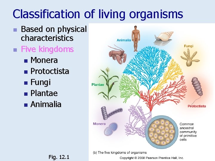 Classification of living organisms n n Based on physical characteristics Five kingdoms n Monera