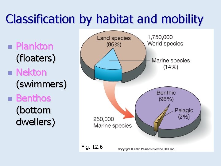 Classification by habitat and mobility n n n Plankton (floaters) Nekton (swimmers) Benthos (bottom