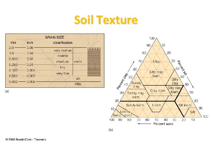 Soil Texture 