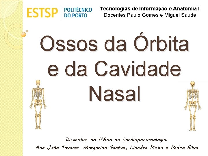Tecnologias de Informação e Anatomia I Docentes Paulo Gomes e Miguel Saúde Ossos da