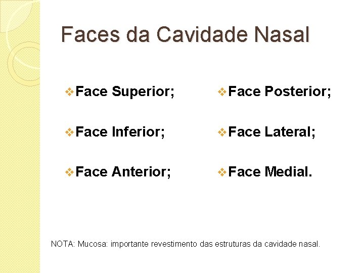 Faces da Cavidade Nasal v Face Superior; v Face Posterior; v Face Inferior; v