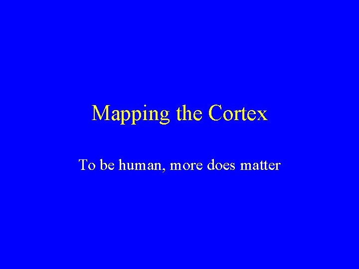 Mapping the Cortex To be human, more does matter 