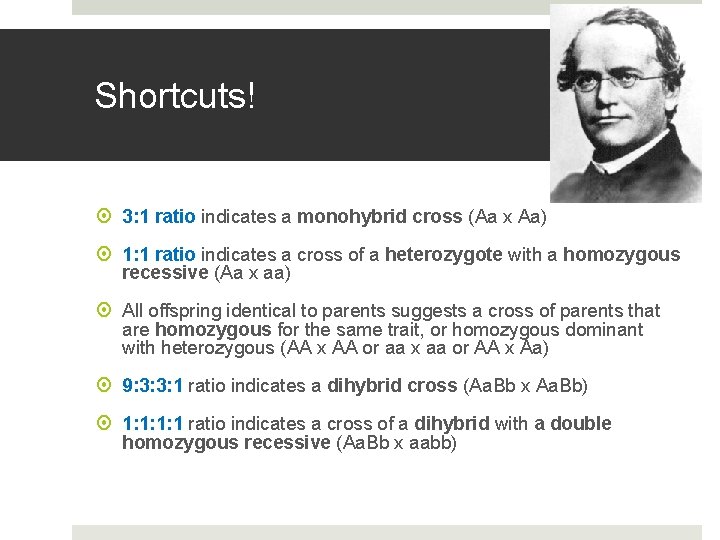 Shortcuts! 3: 1 ratio indicates a monohybrid cross (Aa x Aa) 1: 1 ratio