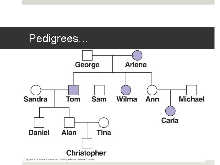 Pedigrees… 